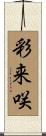 彩来咲 Scroll