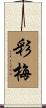 彩梅 Scroll
