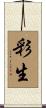 彩生 Scroll