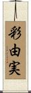 彩由実 Scroll