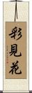 彩見花 Scroll