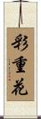 彩重花 Scroll