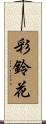 彩鈴花 Scroll