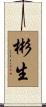 彬生 Scroll