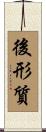 後形質 Scroll