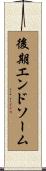 後期エンドソーム Scroll