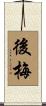 後梅 Scroll
