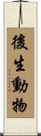 後生動物 Scroll