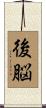 後脳 Scroll
