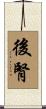 後腎 Scroll