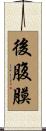 後腹膜 Scroll