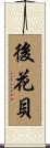 後花貝 Scroll