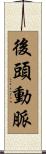 後頭動脈 Scroll
