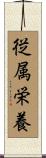 従属栄養 Scroll