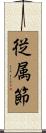 従属節 Scroll