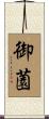 御薗 Scroll