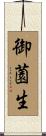御薗生 Scroll