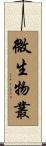 微生物叢 Scroll