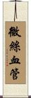 微絲血管 Scroll