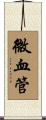 微血管 Scroll