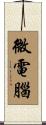 微電腦 Scroll