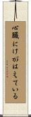 心臓にけがはえている Scroll
