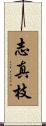 志真枝 Scroll