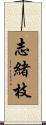 志緒枝 Scroll