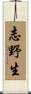 志野生 Scroll