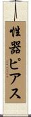 性器ピアス Scroll