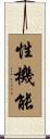 性機能 Scroll