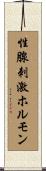 性腺刺激ホルモン Scroll