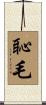 恥毛 Scroll