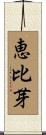 恵比芽 Scroll