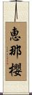 恵那櫻 Scroll