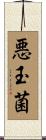 悪玉菌 Scroll