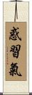 惑習氣 Scroll