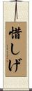 惜しげ Scroll