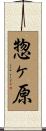 惣ヶ原 Scroll