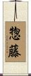 惣藤 Scroll