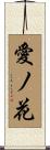 愛ノ花 Scroll