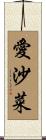 愛沙菜 Scroll
