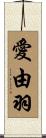 愛由羽 Scroll