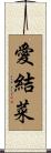 愛結菜 Scroll
