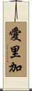 愛里加 Scroll