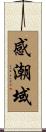 感潮域 Scroll