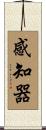 感知器 Scroll