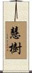 慧樹 Scroll