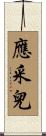 應采兒 Scroll