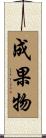 成果物 Scroll